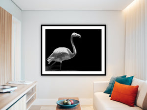 Flamingo - Wall Art